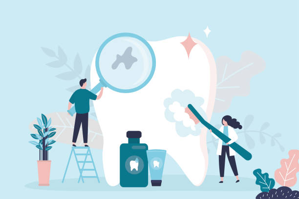  Evergreen Park, IL Holistic Dental Services Pros